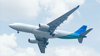 Aviation sector